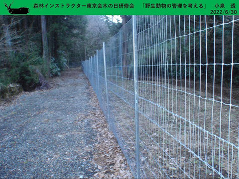 設置された金属製の防護柵