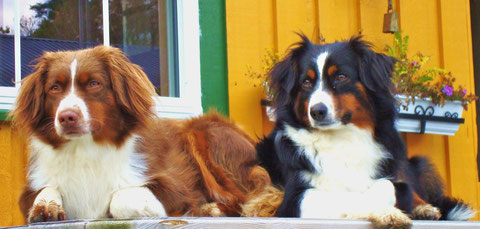 Ylva und Anouk (rechts)
