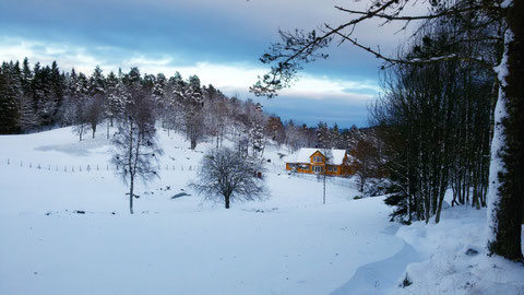 Blick auf unser Haus am heutigen Nachmittag