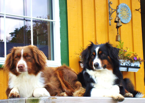 Ylva  (links) und Anouk im November 2011, nur wenige Tage vor Ylvas Tod