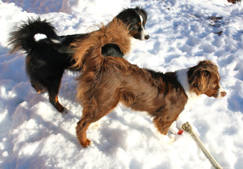 Anouk und Ylva im Februar 2011