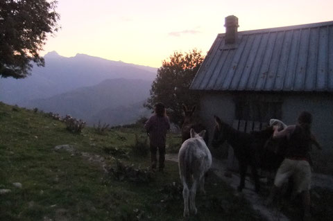 An terme de cette transhumance, la Cabane de Castéruch avec le Pic d'Anie en toile de fond