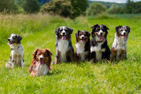 v.l.n.r. Libby (41cm), Hurley (44cm), Charlie (45cm), Jenna (41cm), Leela (46cm), Kate (41cm)