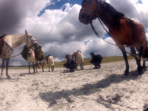 Trek trappeur à cheval Mongolie