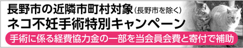 協会補助北信地区ネコ不妊手術特別キャンペーン