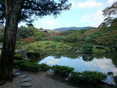 The view of back Garden