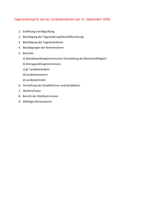 Einladung zur ao. Landeskonferenz – Seite 2