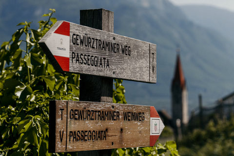 GEWÜRZTRAMINERWEG Wandern & Wein in Tramin, Südtirol Genussvolle Höhenmeter durch die Heimat einer der aromatischsten Rebsorten Südtirols. Der Gewürztraminerweg verbindet Weinwissen mit Weitblick.