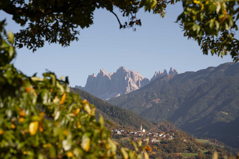 PANORAMA & CHESTNUT TRAIL Feldthurns, Eisack Valley, South Tyrol A trail like an autumn dream: the Panorama Trail and Chestnut Trail in Feldthurns – golden leaves, local wine and the Dolomites always in view.