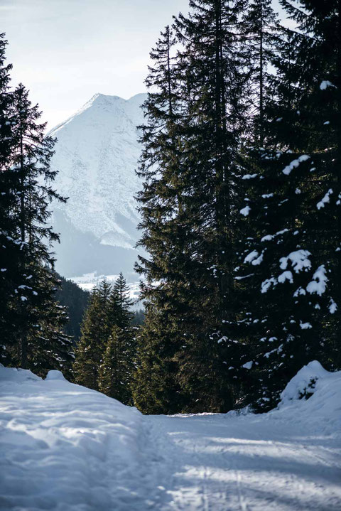die schönsten Naturrodelbahnen in Tirol: Rodelbahn Hoher Sattel, Leutasch  #rodelbahn #tirol #alpen #karwendel #mountainhideaways