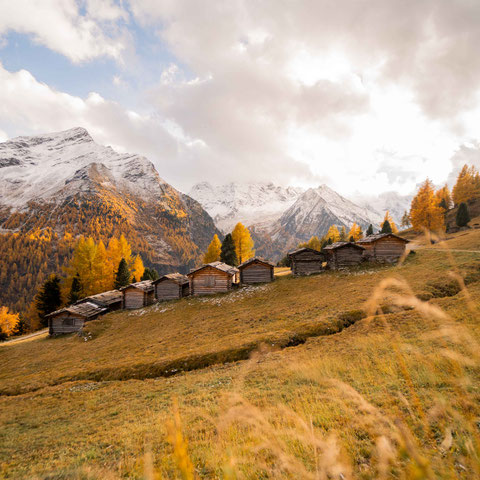 Where Hay Barns Meet Glaciers: Hiking to the Lobisa Schupfn above Rein in Taufers, South Tyrol ©Lena Sulzenbacher