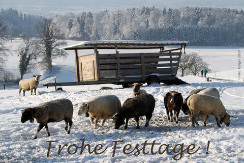 Frohe Weihnachtstage