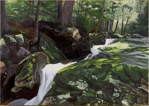 francois beaudry egg tempera painting landscape cascade rocks moss via appalachia series 13