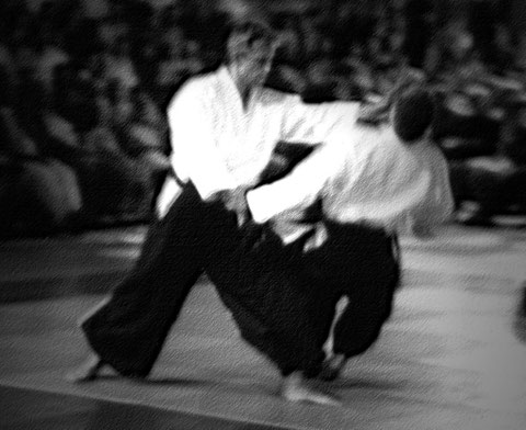 Budogala - 2001