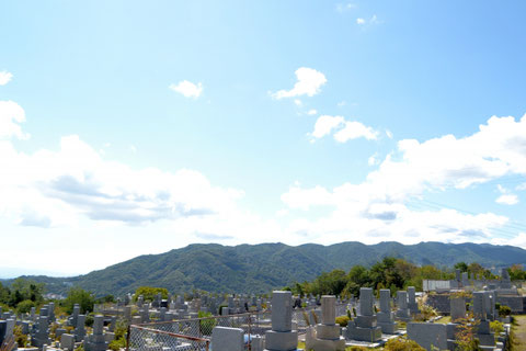 企画から納品まで短納期かつ低価格で対応して欲しい