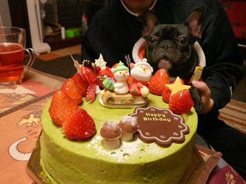 宇治抹茶のクリスマスケーキだよ♪ハイチーズ^3^
