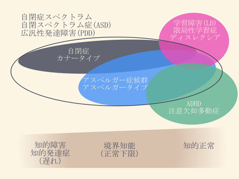 広汎 性 発達 障害 と は