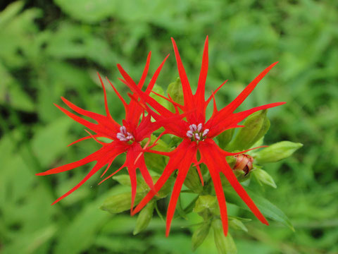 2010.08.21 長野県