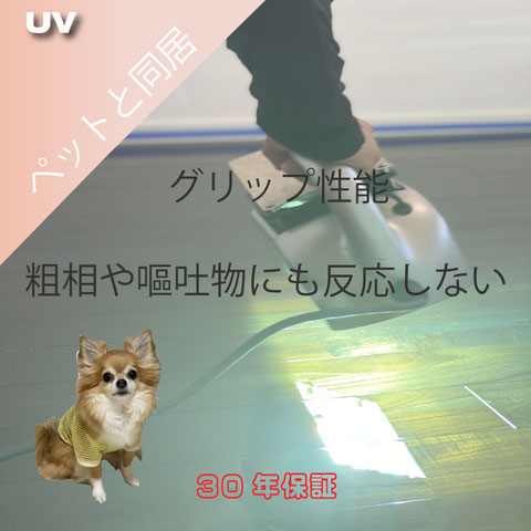 ペットフロアコーティング,犬滑る床,滑らない床,フロアコーティング滑らない,沖縄フロアコーティング