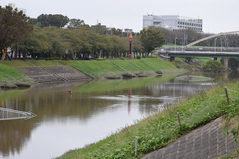 ※　利根運河　2019年10月14日　台風１５号(９月９日)で半壊し、今回の１９号で全壊した水位計。　水面に少しだけ見えている。