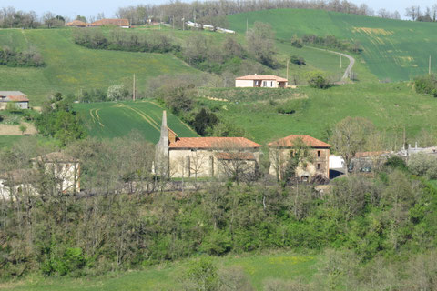 Ambax