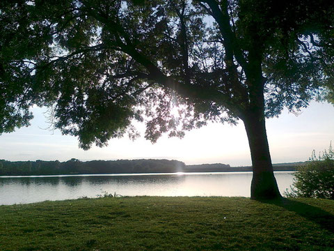 l'Etang de Baye