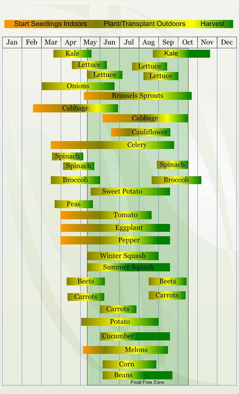 These are approximate times to seed and plant as per www.veggieharvest.com