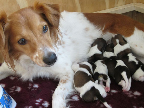 Mutter und Babys geht es super!