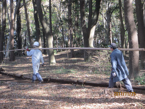 枯れ枝落としに向かうところです