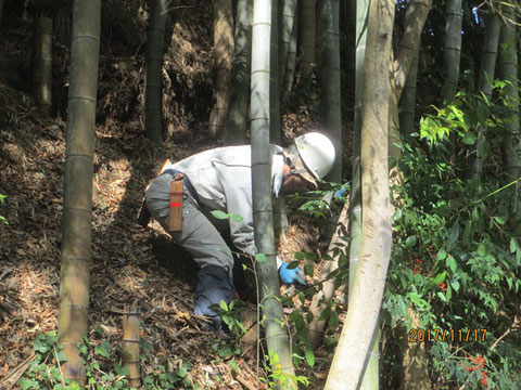 作業は急傾斜地なので大変です