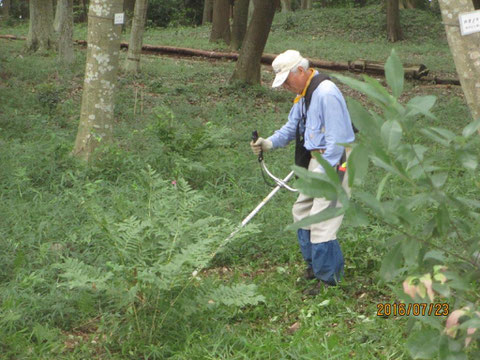 夏草刈も本格化しました