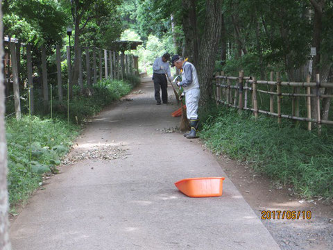 周辺道路の清掃作業も忘れずに