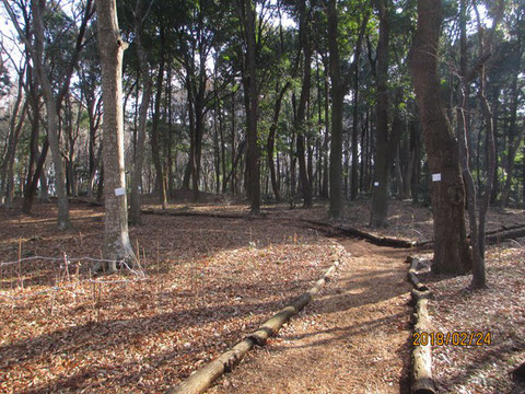 陽らしい日差しが差し込む活動地