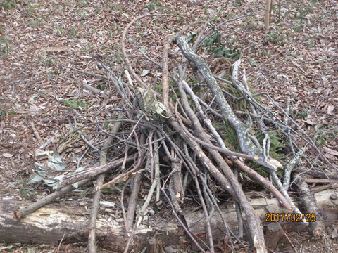 枯れ枝がすぐに山になります