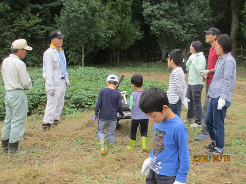 サツマイモの収穫体験に来た子供たちに掘り方の説明です