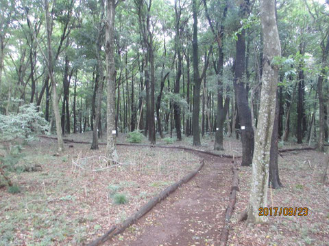 何となく湿っぽい活動地の朝