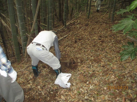 タケノコ掘りも結構大変です