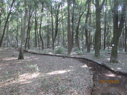 朝日が差し込んでいる活動地の朝