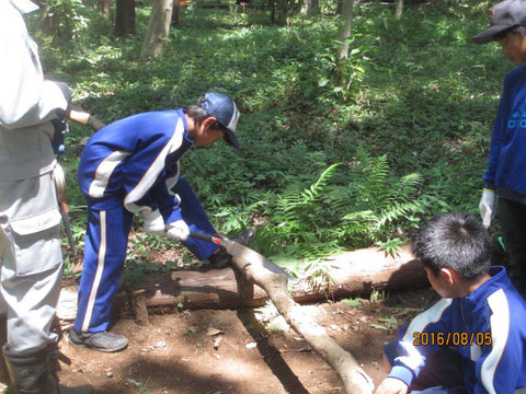 早速、丸太切りに挑戦です