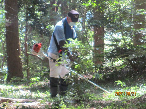 植物に注意しながらの作業です