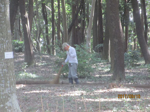 今日も清掃作業から