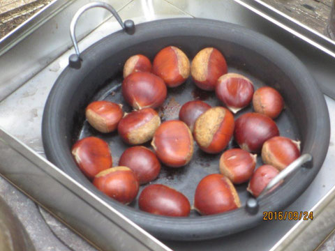 休憩時間にいただく焼き栗を焼いています