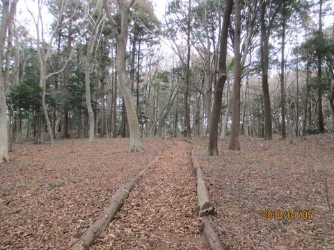 枯葉で詰めつくされた通路です