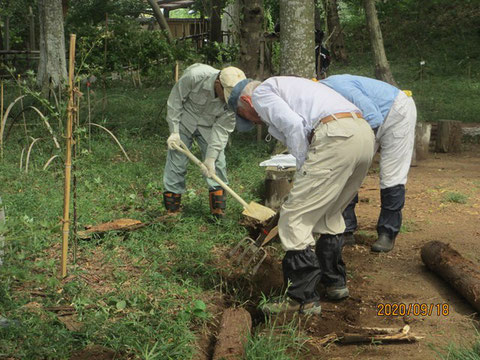 共同作業で、溝を掘り、丸太を固定する作業に入ります