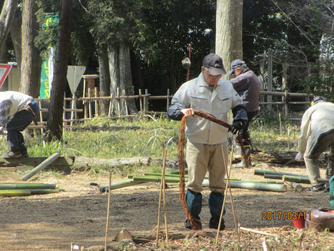 柵の固定に使う棕櫚縄を一定の長さに切っています