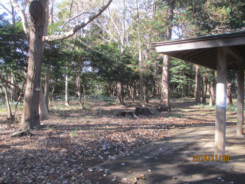 公園と言った感じで、近隣の人達の憩いの場