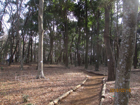 日差しが差し込む活動地