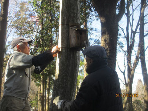 これで今年も小鳥が巣を利用できます