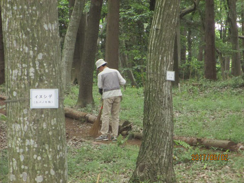 清掃は地道な作業です