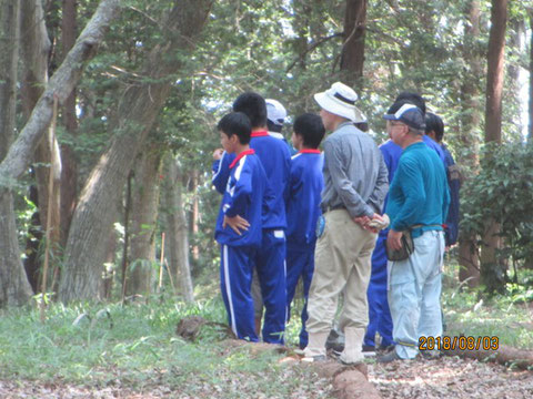 場内を案内しながら説明